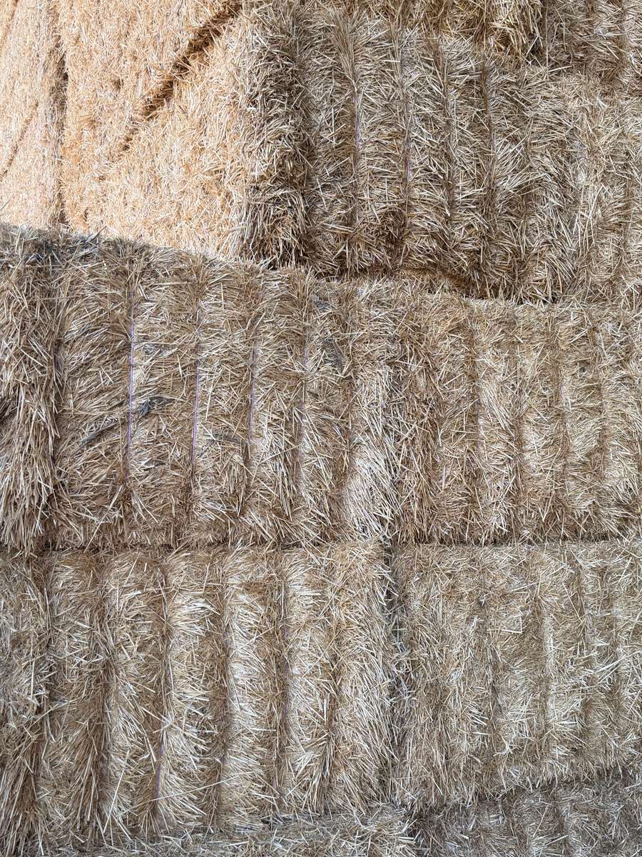 Batch 4990788000215076018 Image