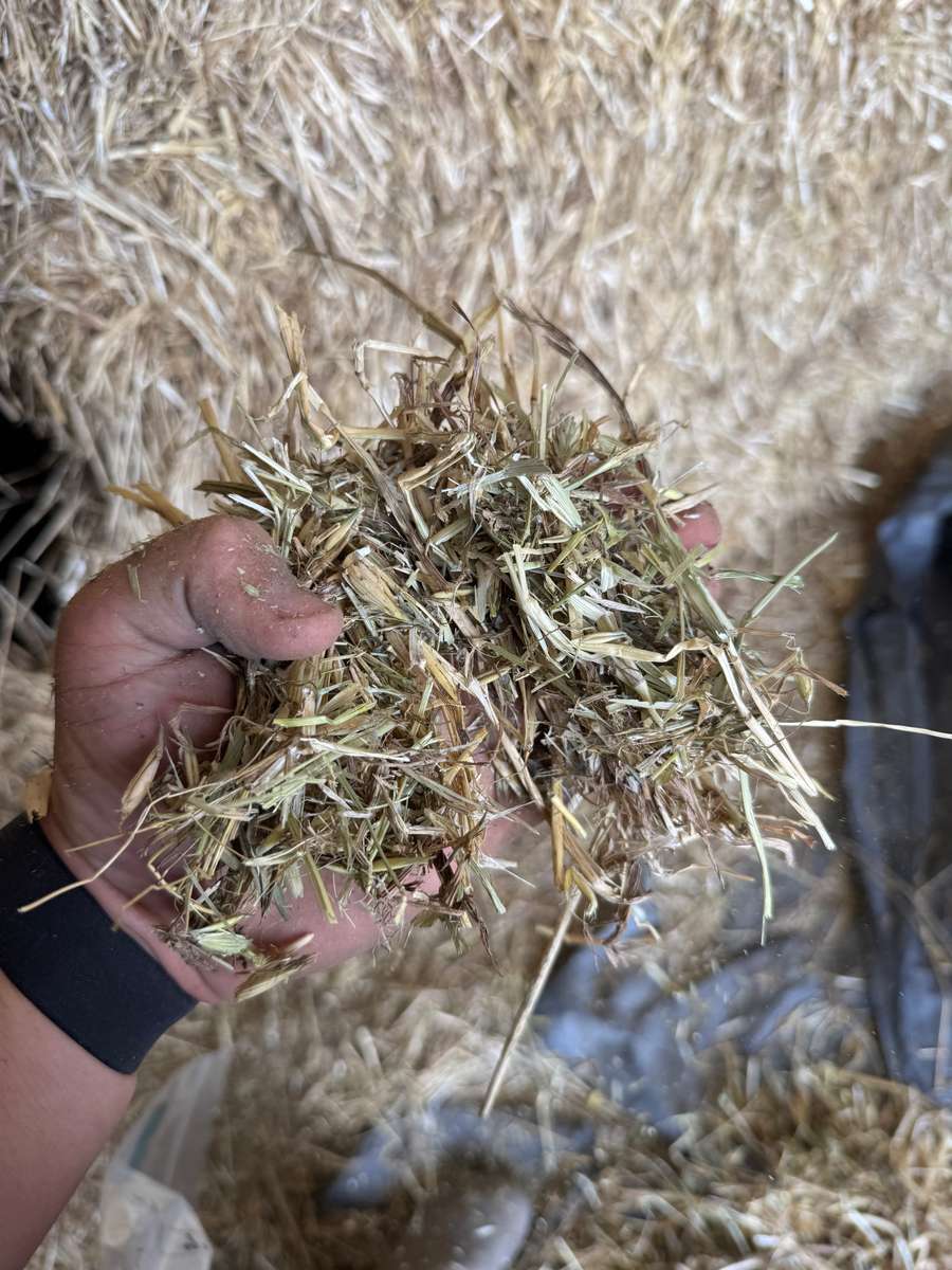 Batch 4990788000210156001 Image