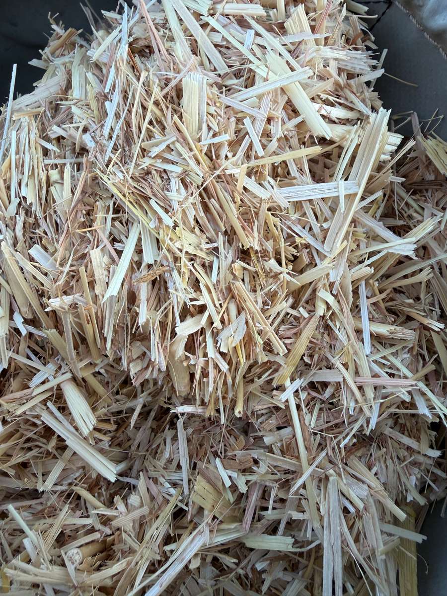 Batch 4990788000215077004 Image