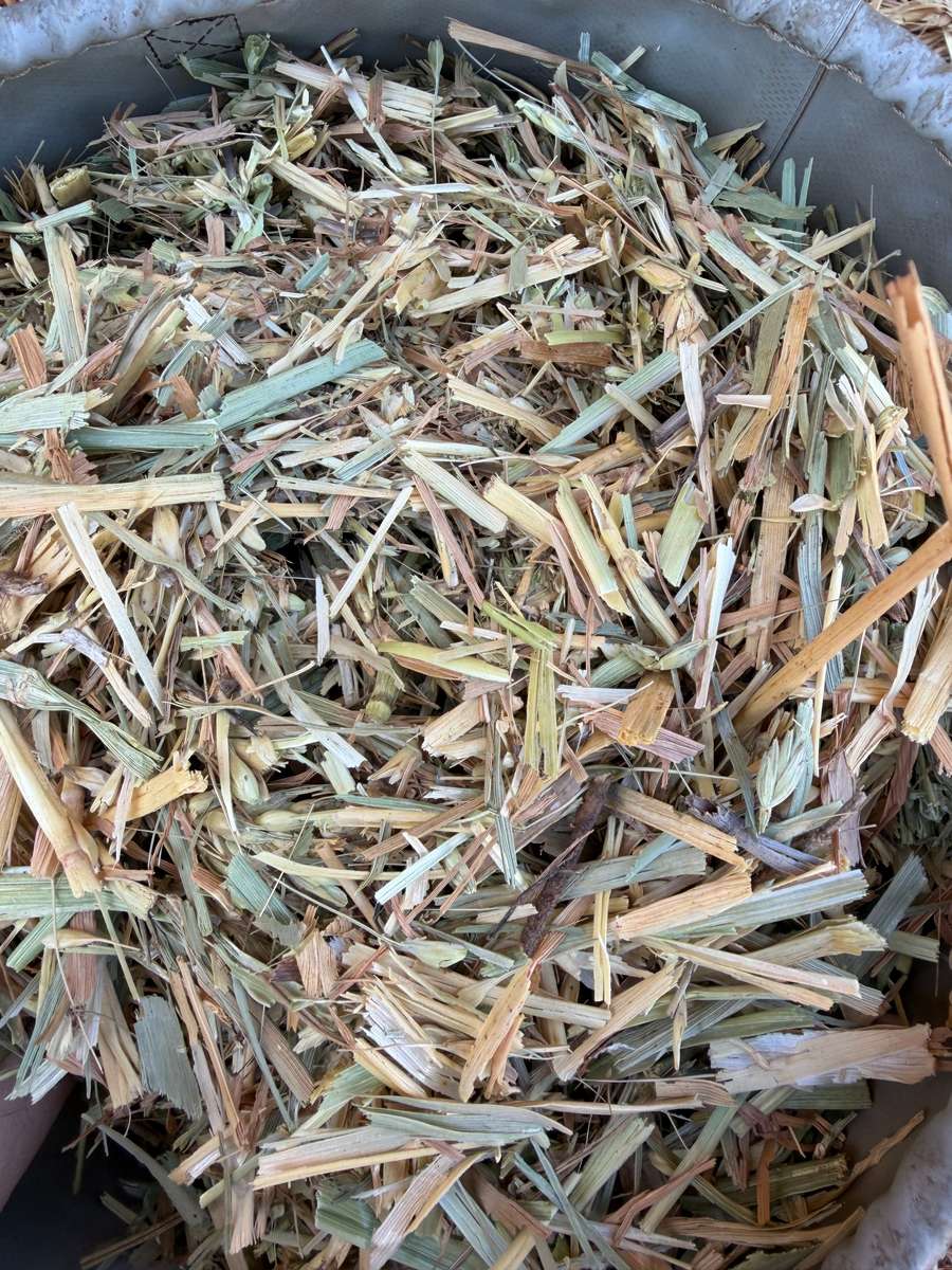 Batch 4990788000214169014 Image