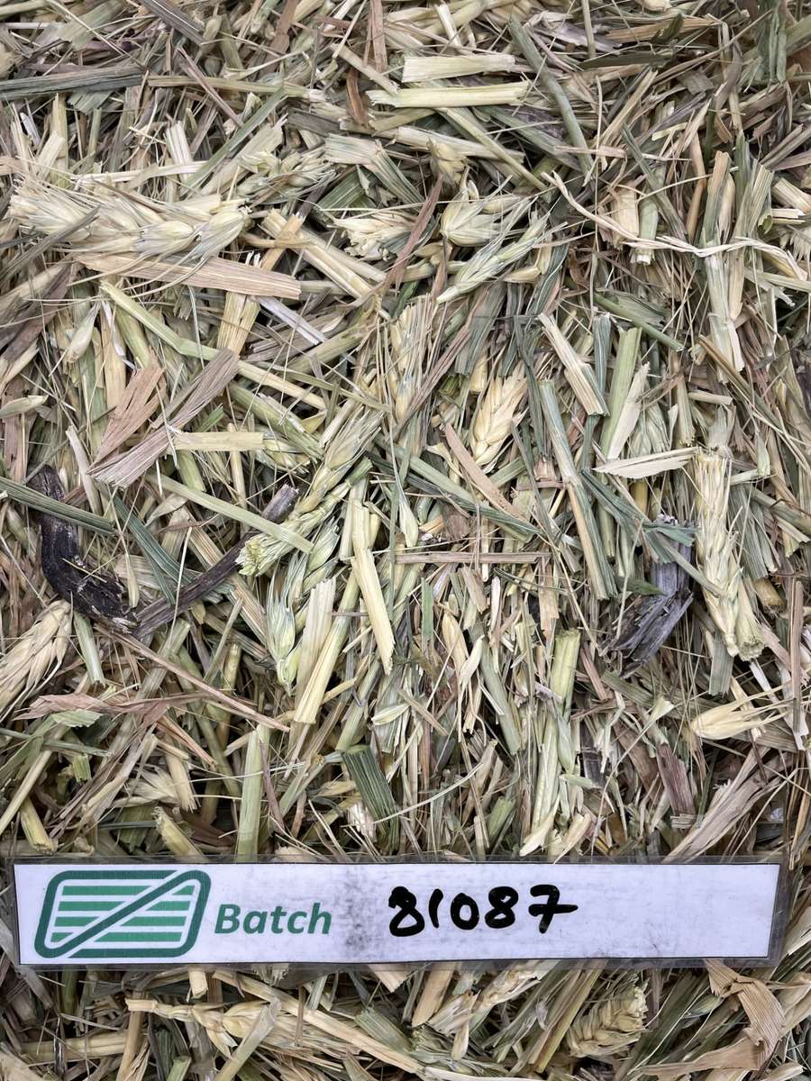 Batch 4990788000200922301 Image