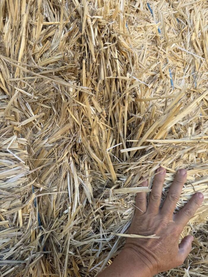 Batch 81466 Cereal Straw – Fodder Link Website