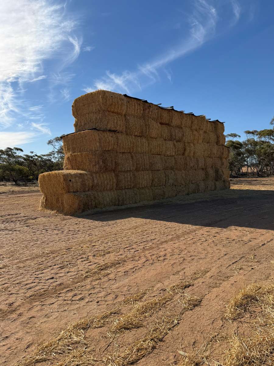 Batch 4990788000214396001 Image