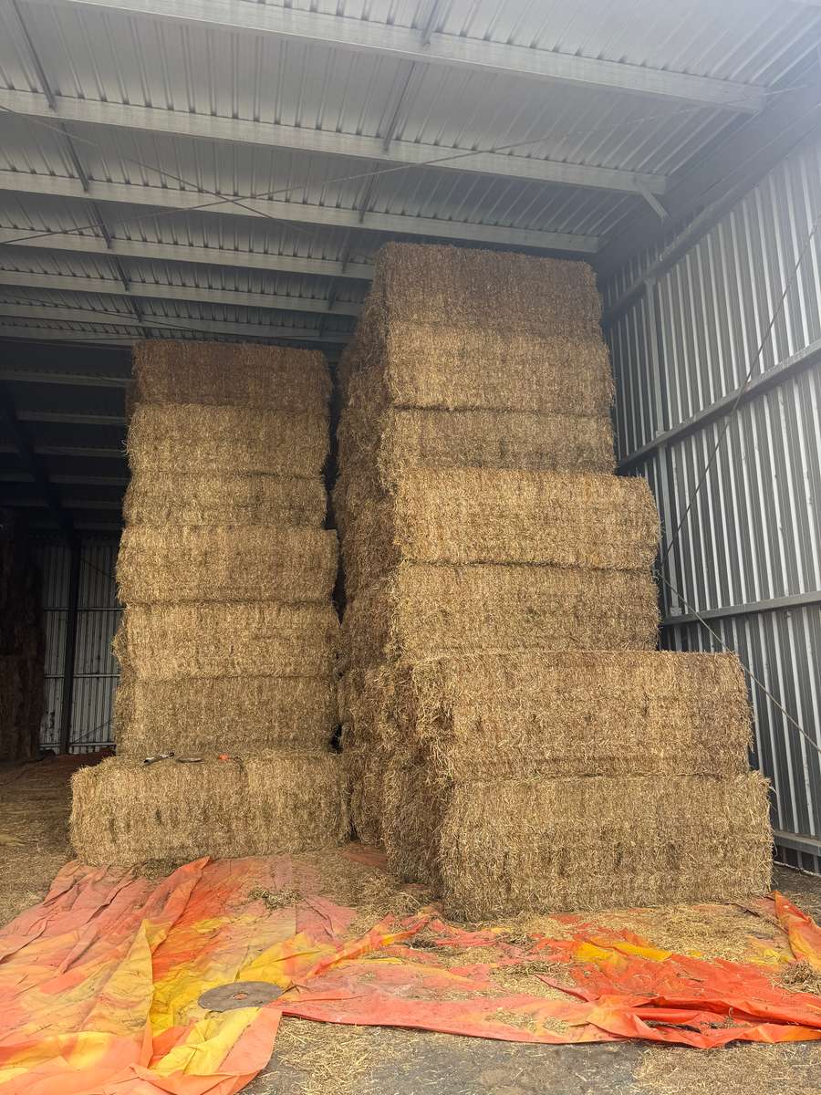 Batch 4990788000209763001 Image