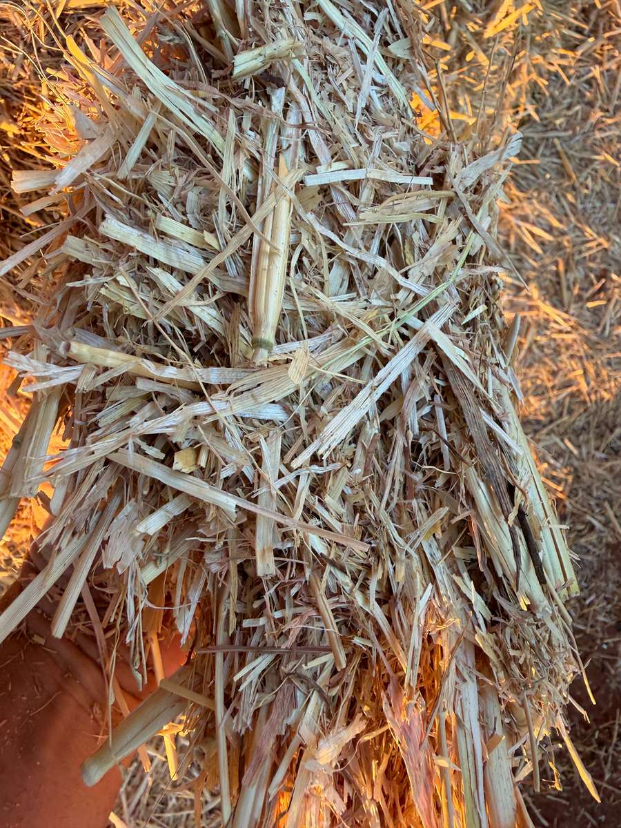 Batch 4990788000215077004 Image