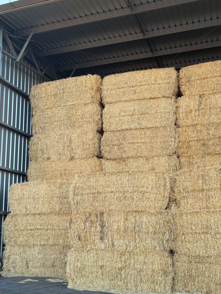 Batch 4990788000215076018 Image