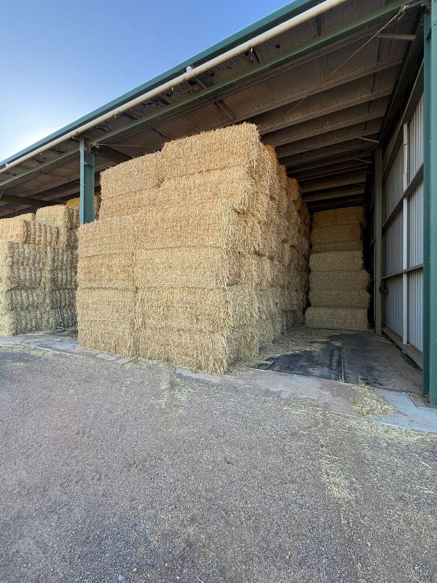 Batch 4990788000207955507 Image