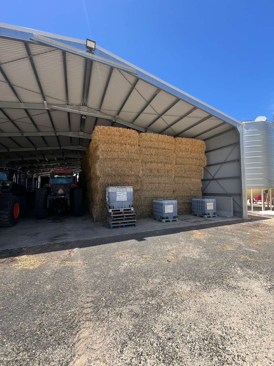 Batch 4990788000213897001 Image