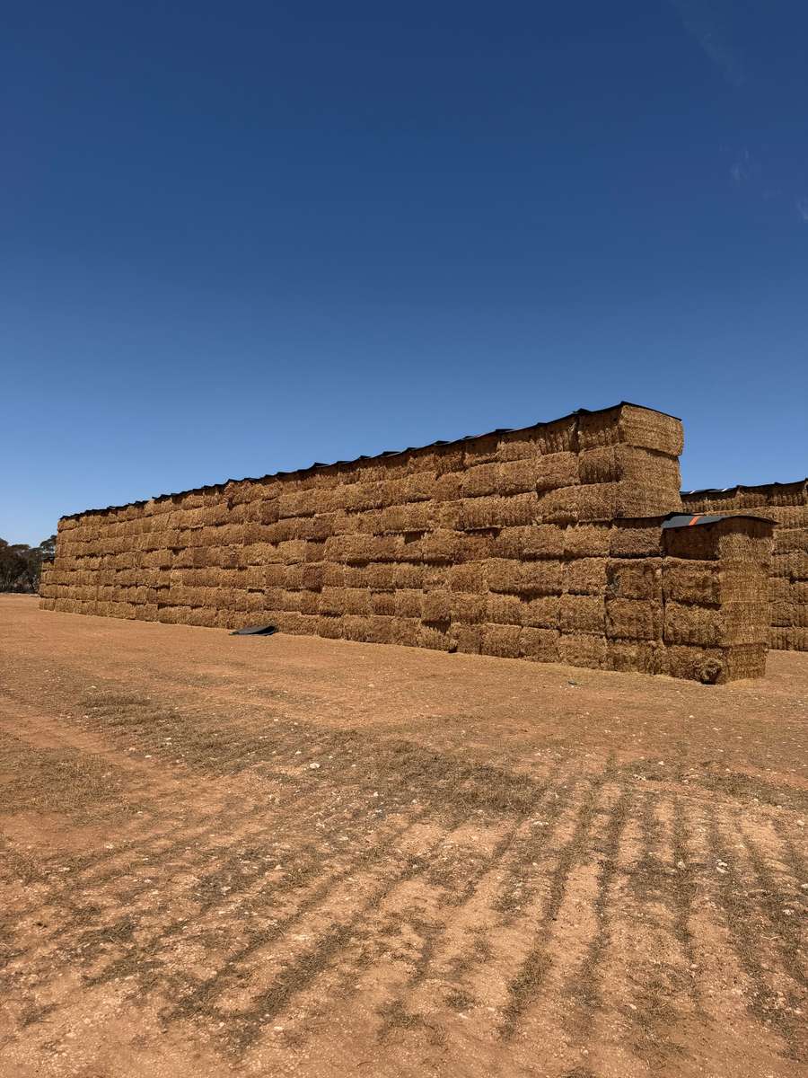 Batch 4990788000214178001 Image