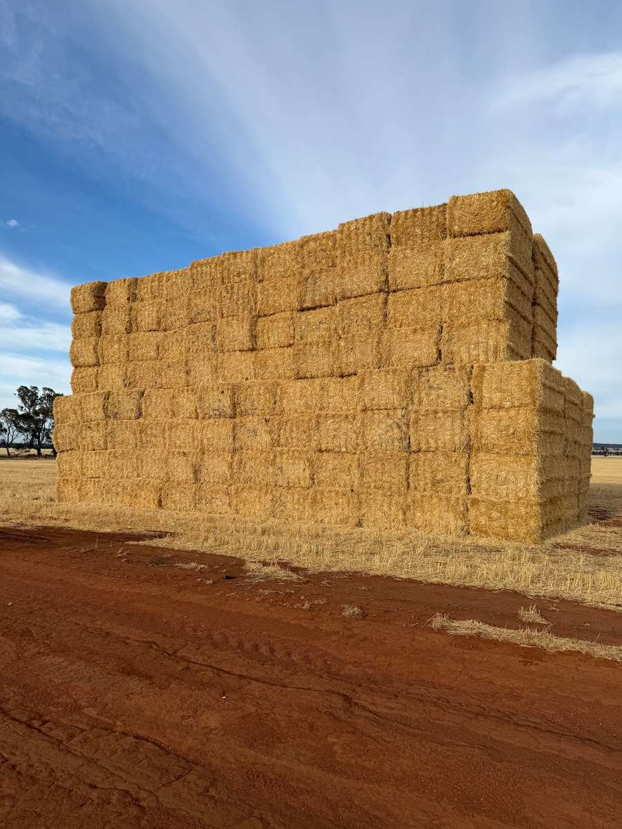 Batch 4990788000213814001 Image