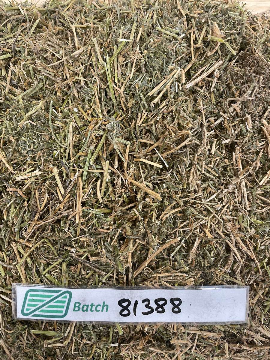 Batch 4990788000211394001 Image