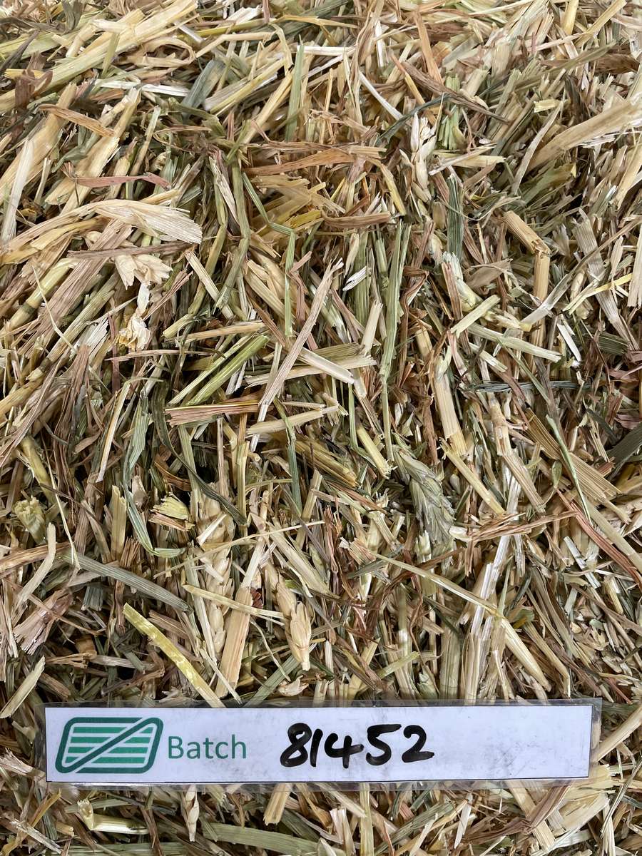 Batch 4990788000213146001 Image