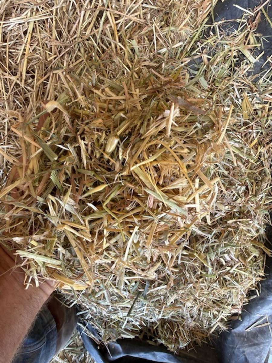 Batch 4990788000210115076 Image