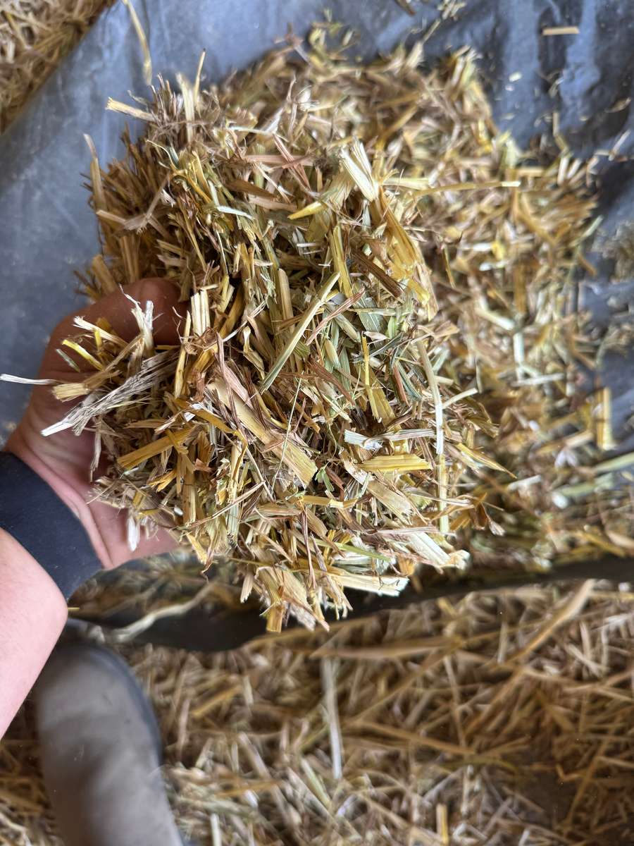 Batch 4990788000210156001 Image