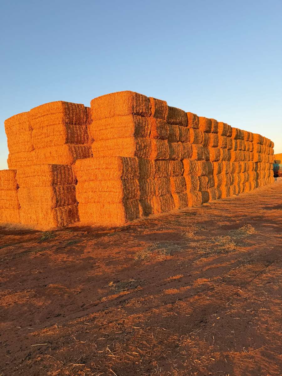 Batch 4990788000215077004 Image