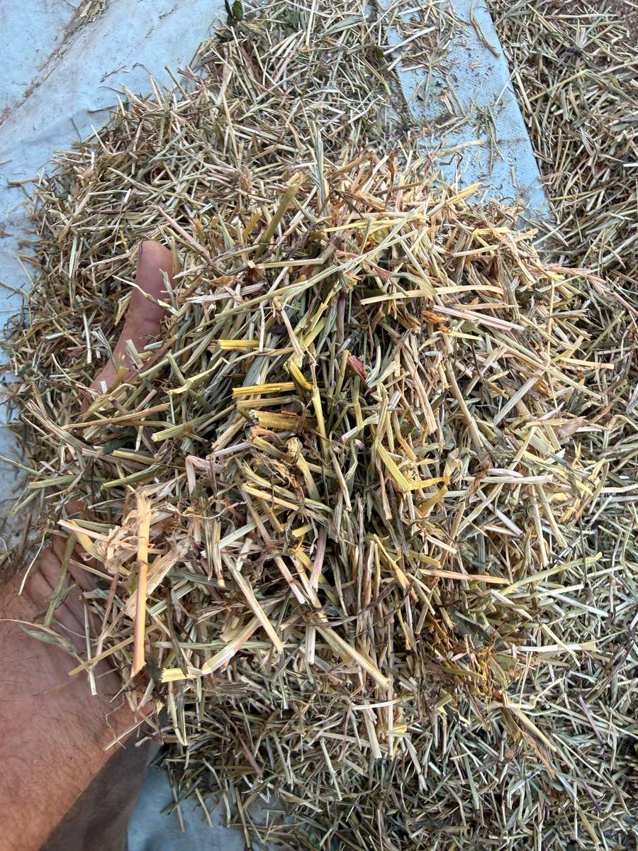 Batch 4990788000209555001 Image