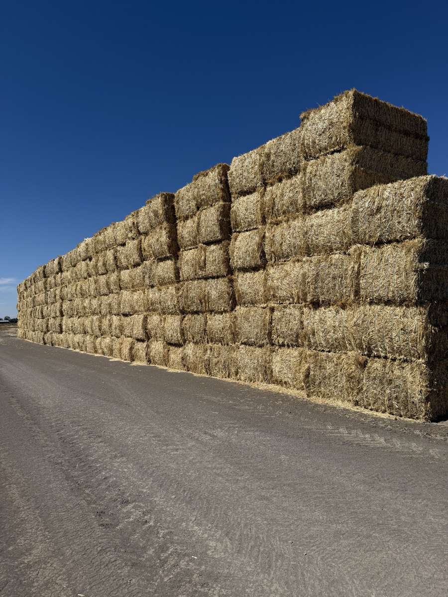 Batch 4990788000213700021 Image