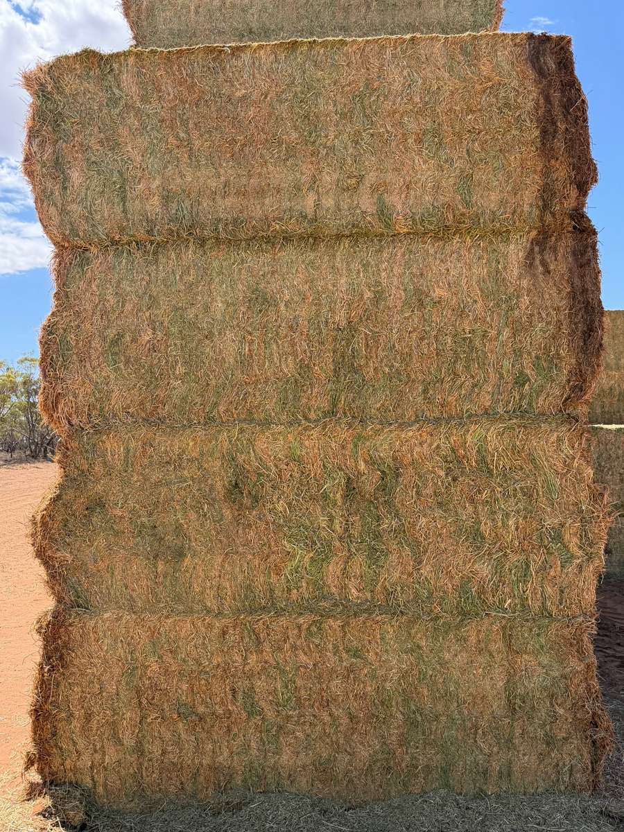 Batch 4990788000214178001 Image