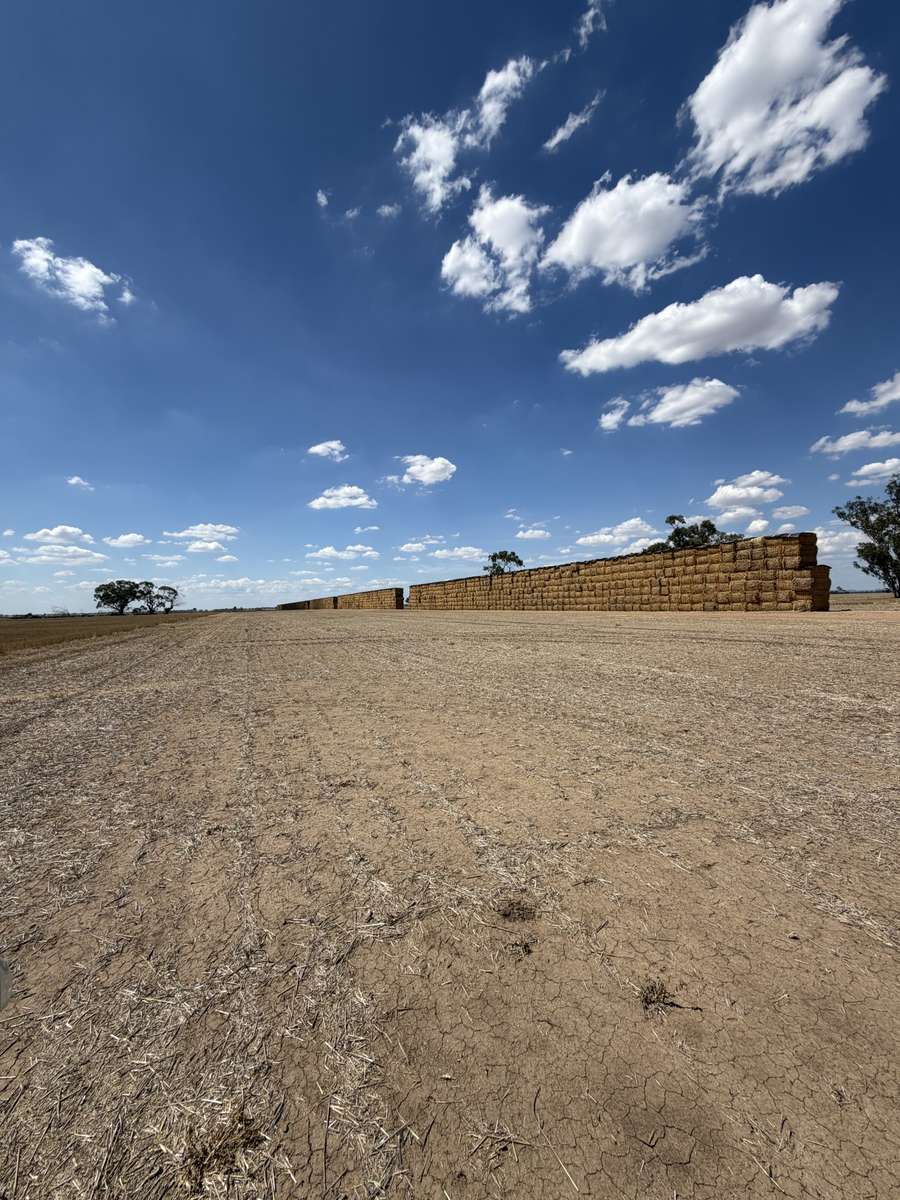 Batch 4990788000199025040 Image