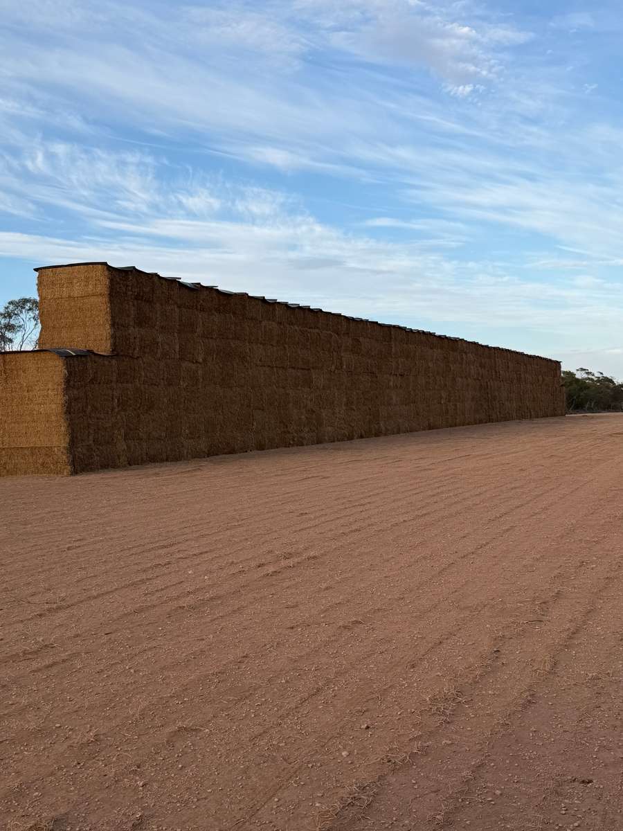 Batch 4990788000214170001 Image