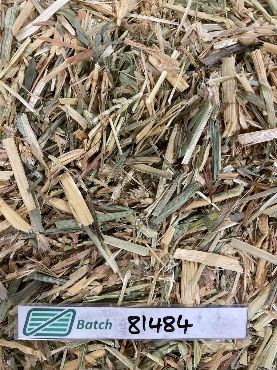 Batch 4990788000214169014 Image