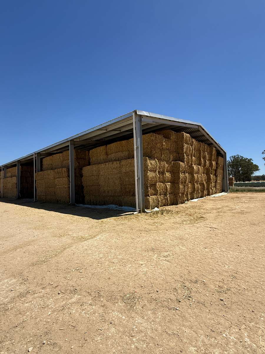 Batch 4990788000209507040 Image