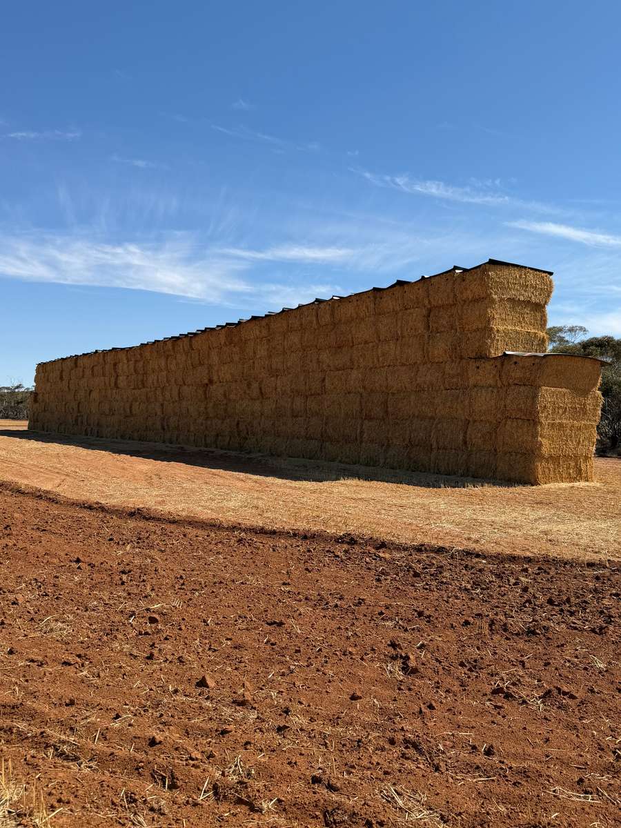 Batch 4990788000214161004 Image