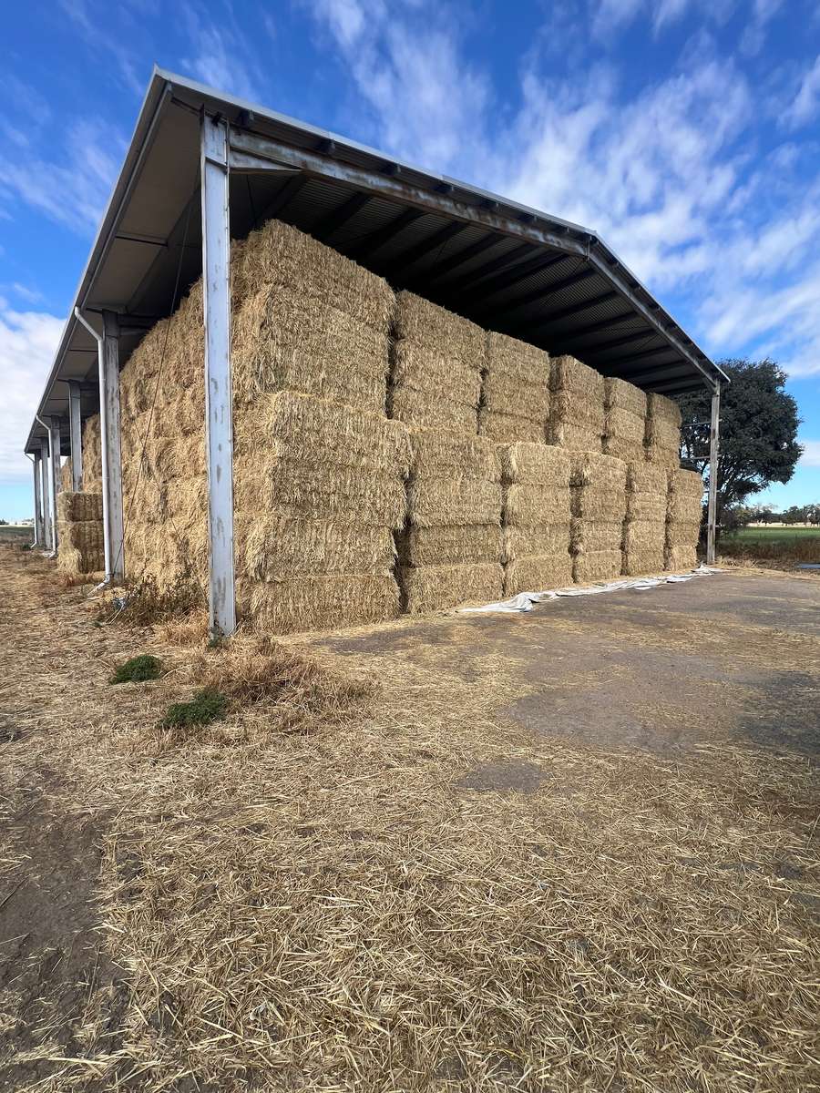 Batch 4990788000204934454 Image