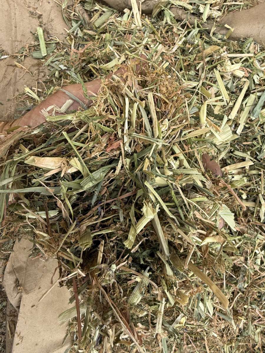 Batch 4990788000200110217 Image