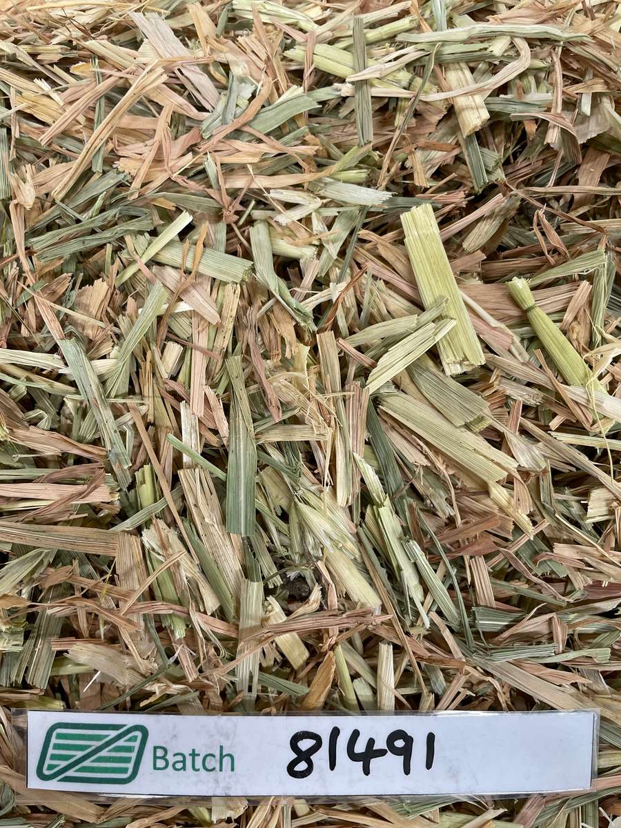 Batch 4990788000214860001 Image