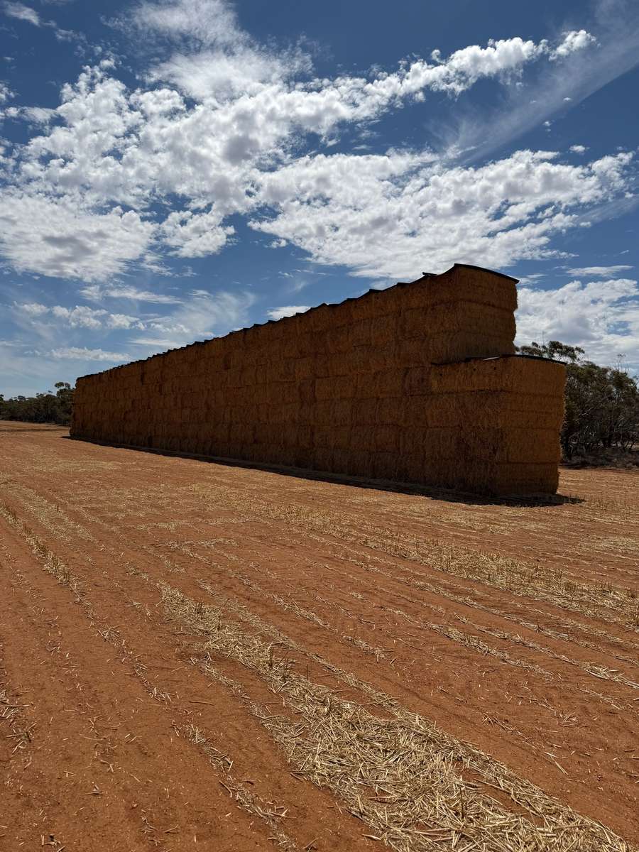 Batch 4990788000214169014 Image