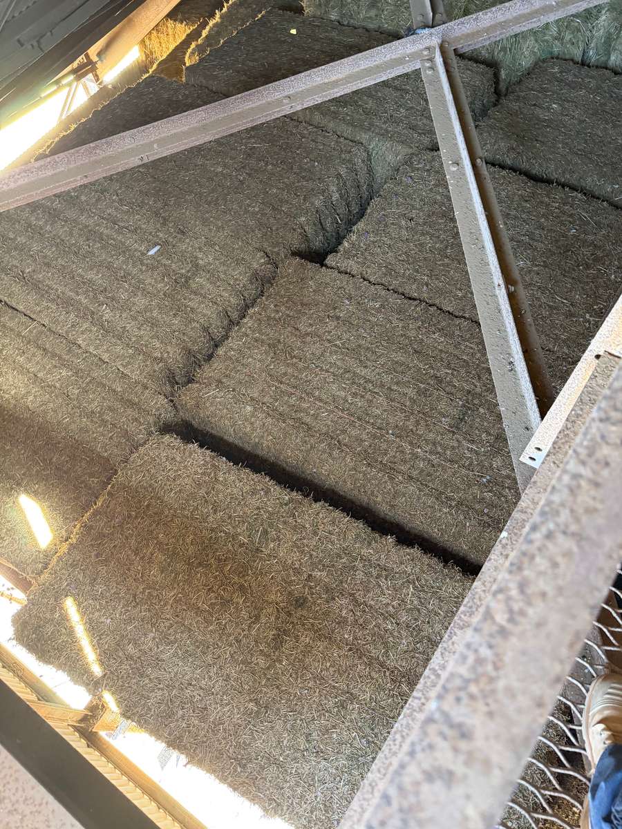 Batch 4990788000214162001 Image