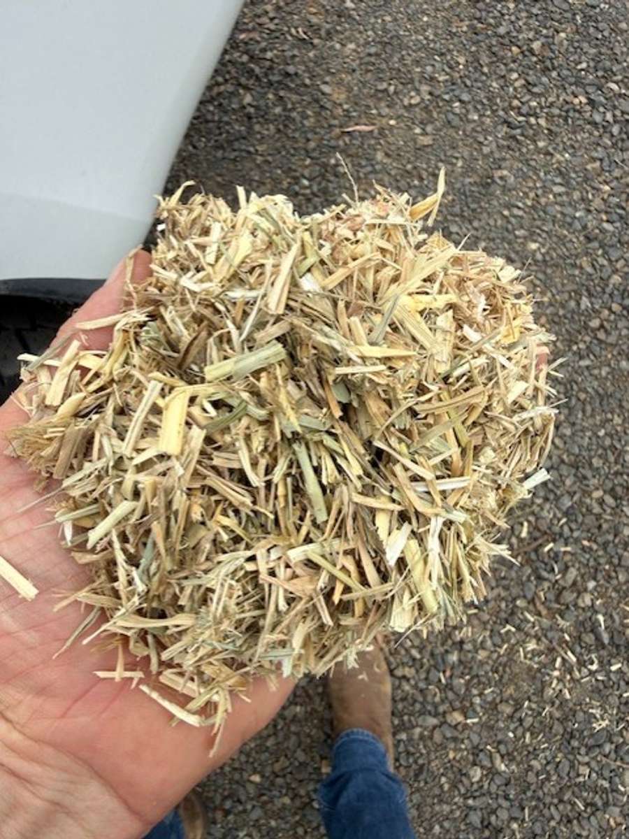 Batch 4990788000214594001 Image