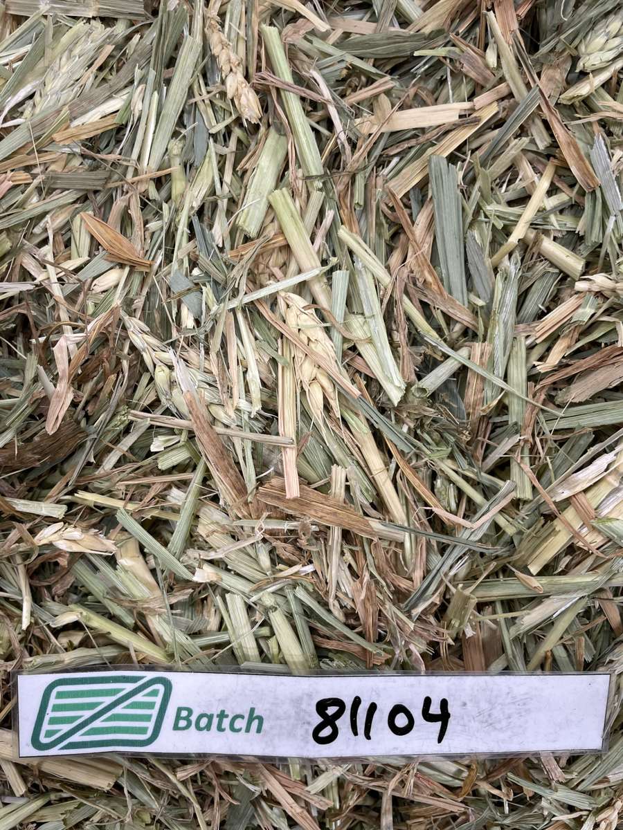 Batch 4990788000201343090 Image