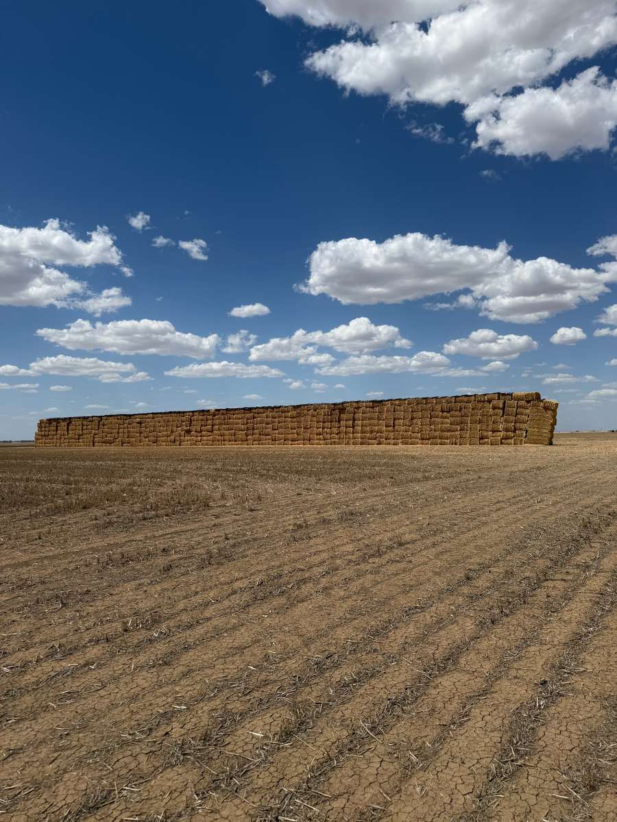 Batch 4990788000214148001 Image