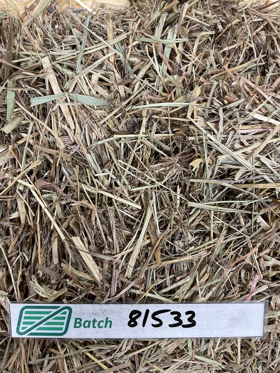 Batch 4990788000215610001 Image