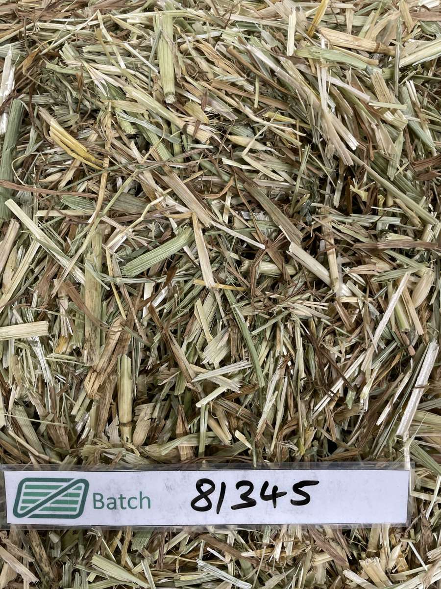 Batch 4990788000210129047 Image