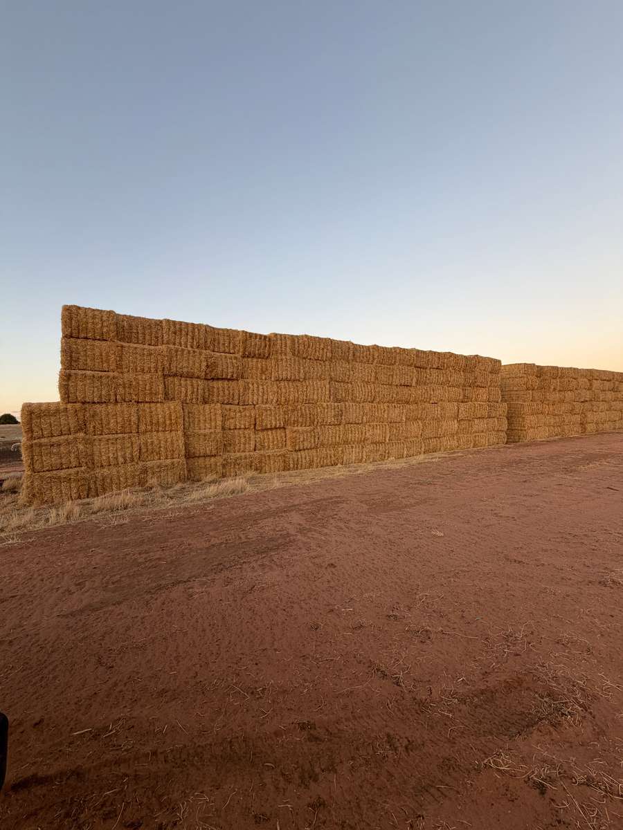 Batch 4990788000215077004 Image