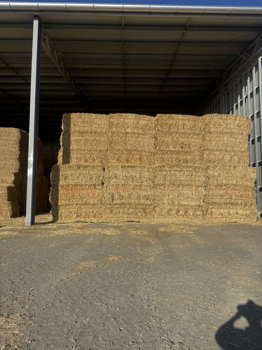 Batch 4990788000210028001 Image