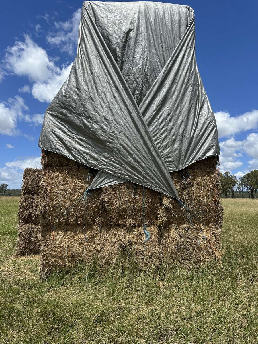 Batch 4990788000216902001 Image