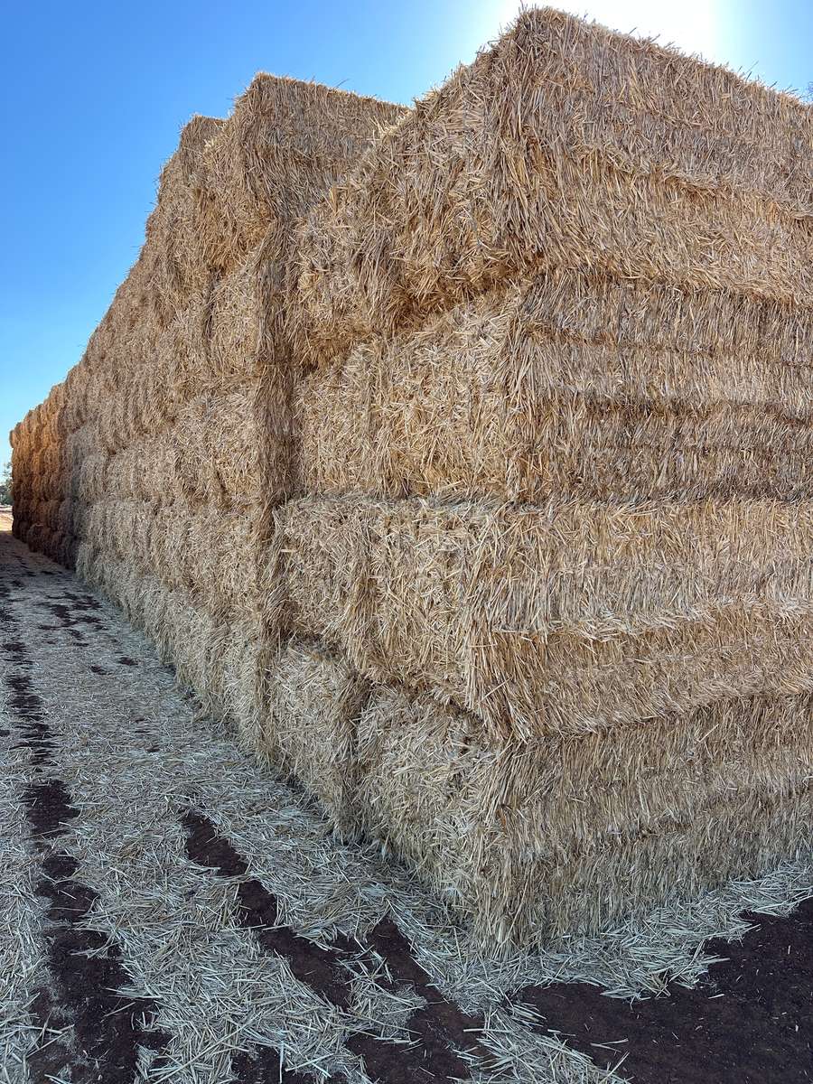 Batch 4990788000212522003 Image