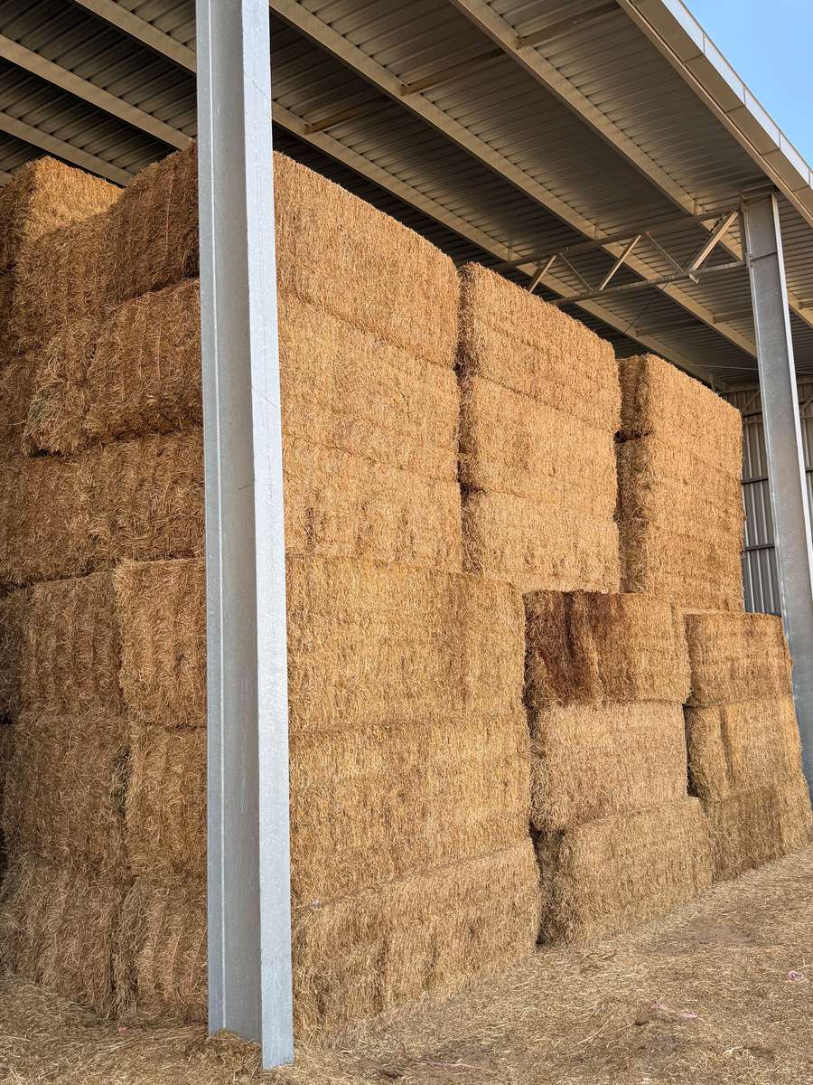 Batch 4990788000215020001 Image