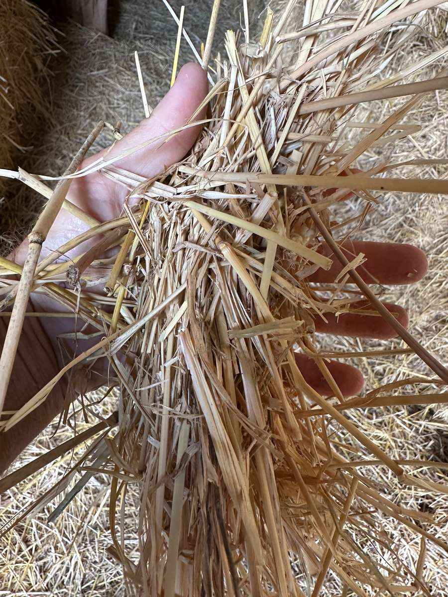 Batch 4990788000217684001 Image