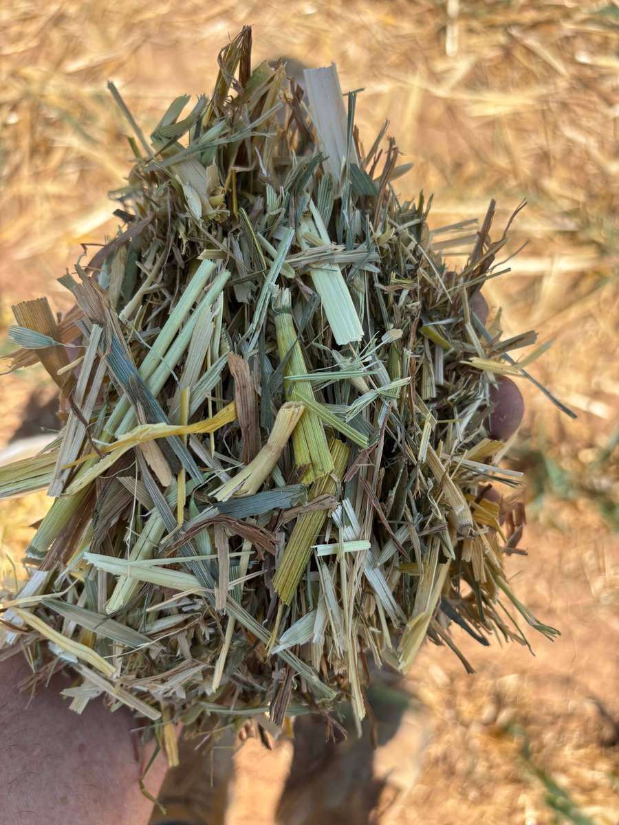 Batch 4990788000199532053 Image