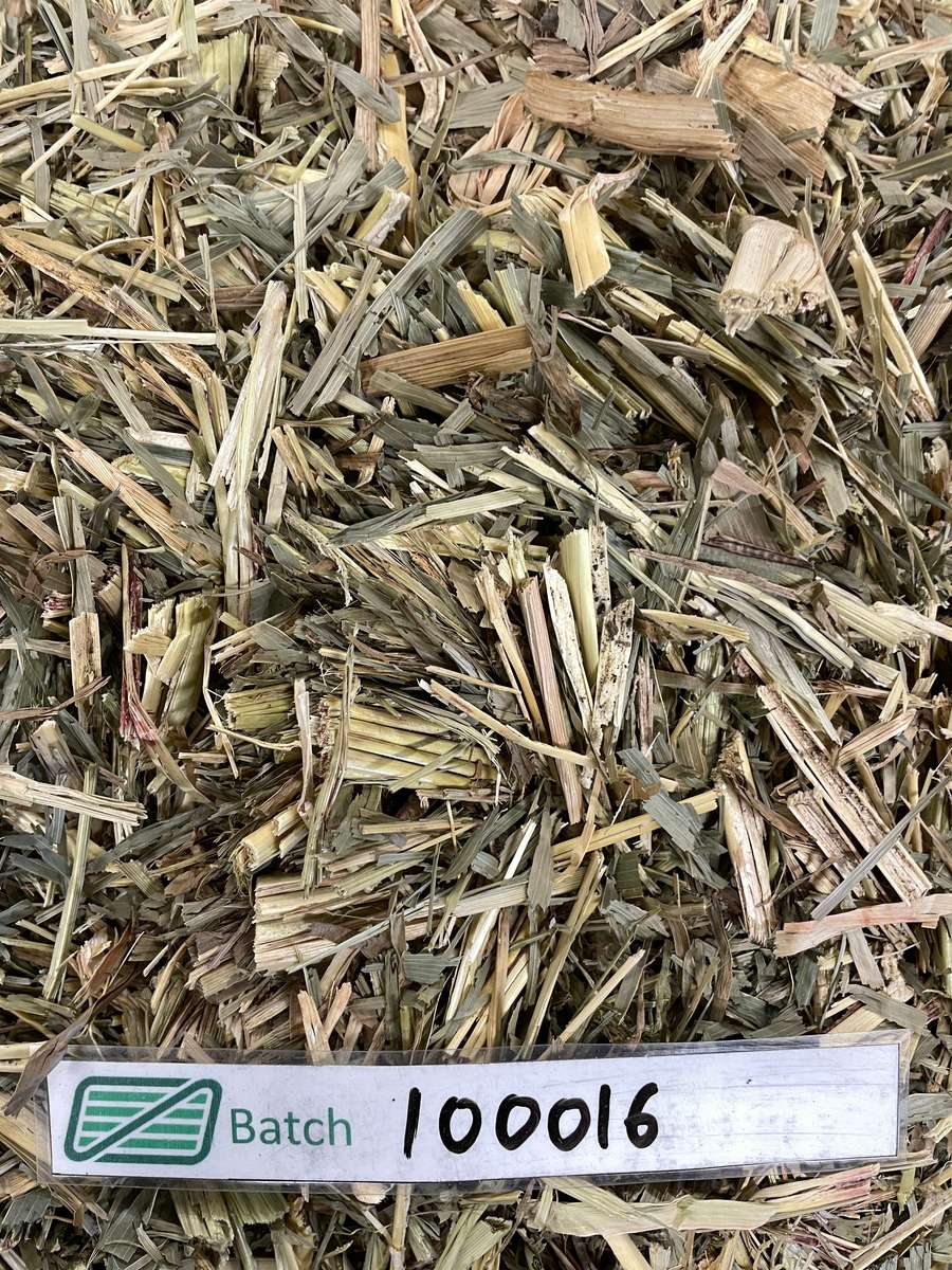 Batch 4990788000216892001 Image