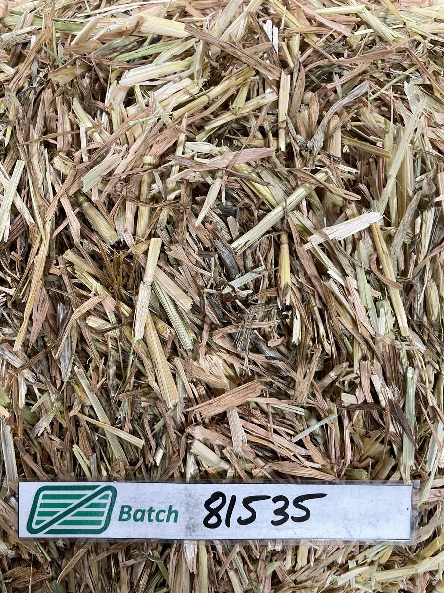 Batch 4990788000215643001 Image