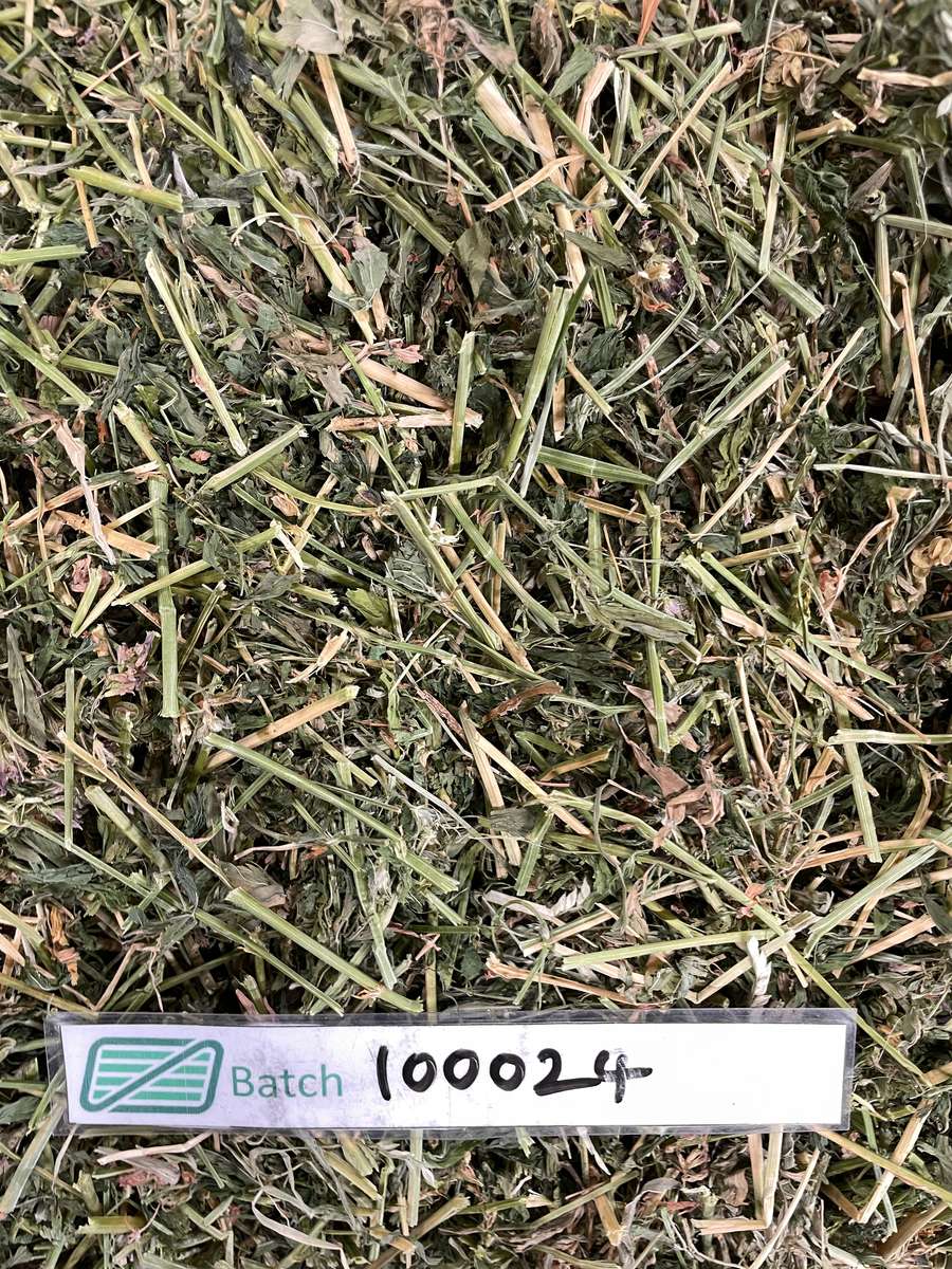 Batch 4990788000217642001 Image