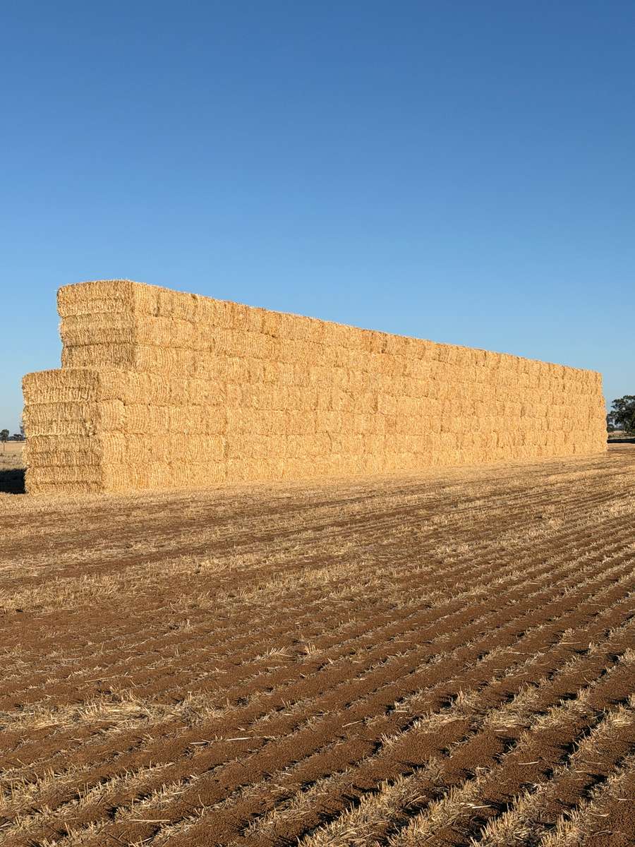 Batch 4990788000215675059 Image