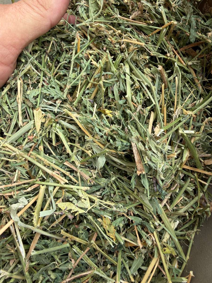 Batch 4990788000217698007 Image