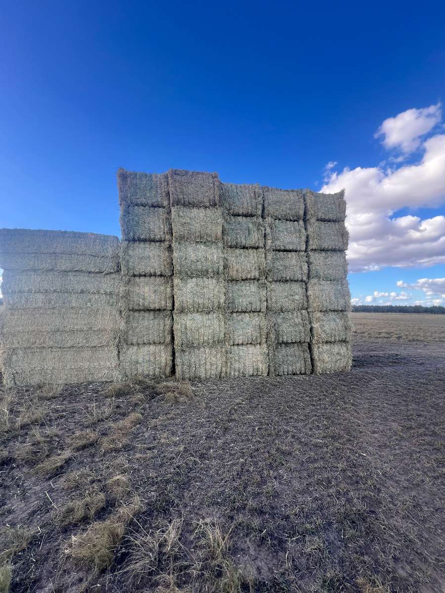 Batch 4990788000215473004 Image